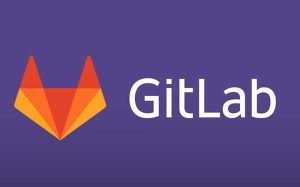 Git lab مورد استفاده در ارگان های دولتی و خصوصی