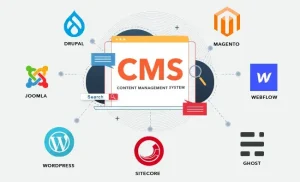 cms_چیست؟